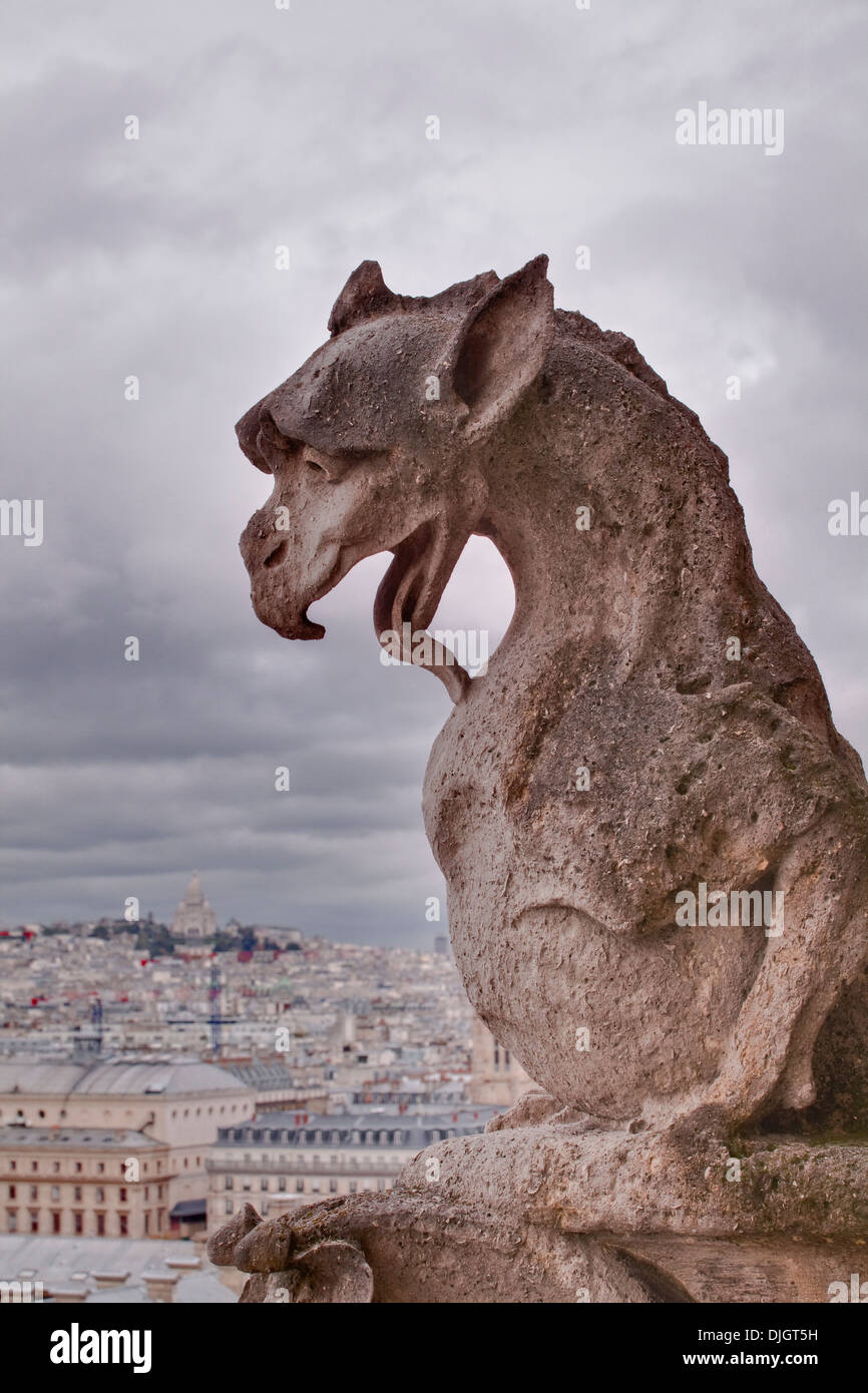 One of the famous gargoyles of Notre Dame de Paris cathedral Stock