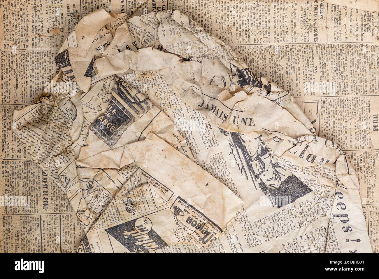 snake skins Stock Photo