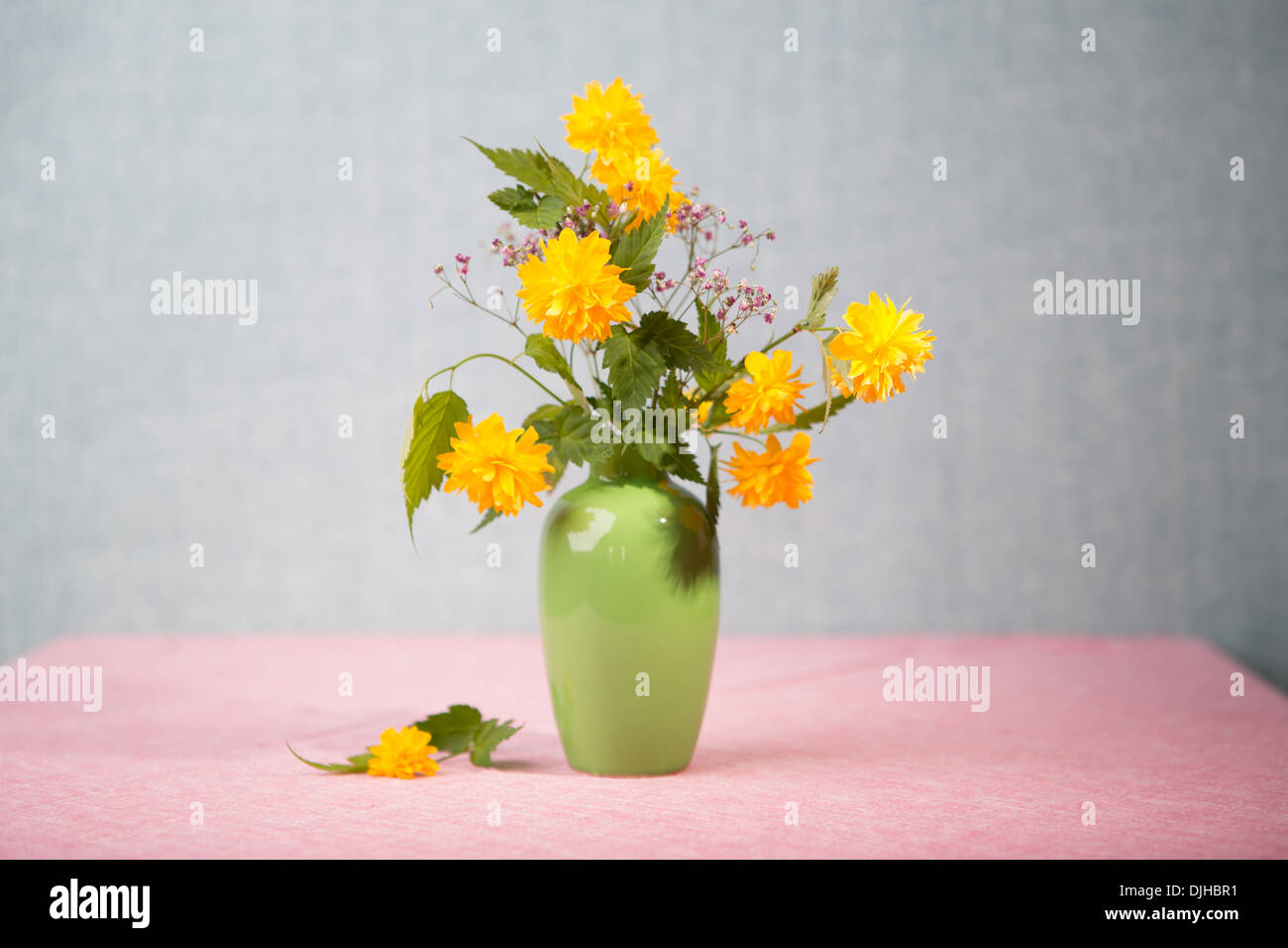 close up shot of camomile flowers in the vase Stock Photo