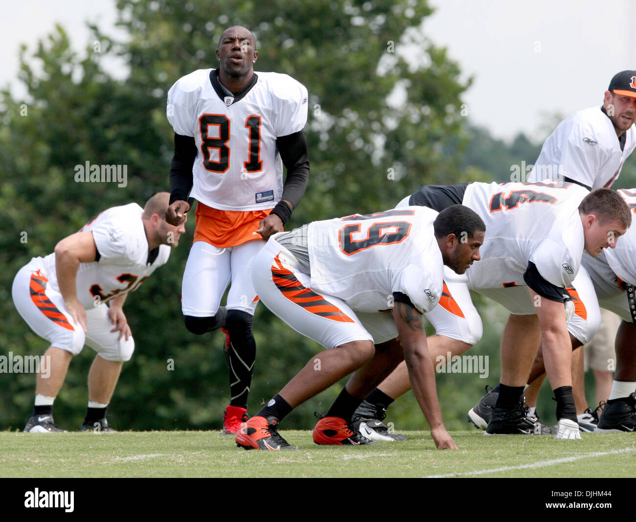 Cincinnati bengals receiver terrell owens hi-res stock photography and  images - Alamy