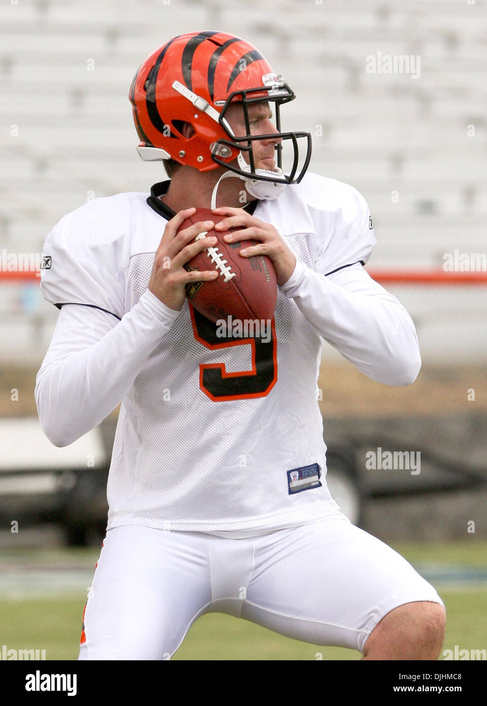 Photo: Bengals Quarterback Carson Palmer In Canton - CLV20100808305 