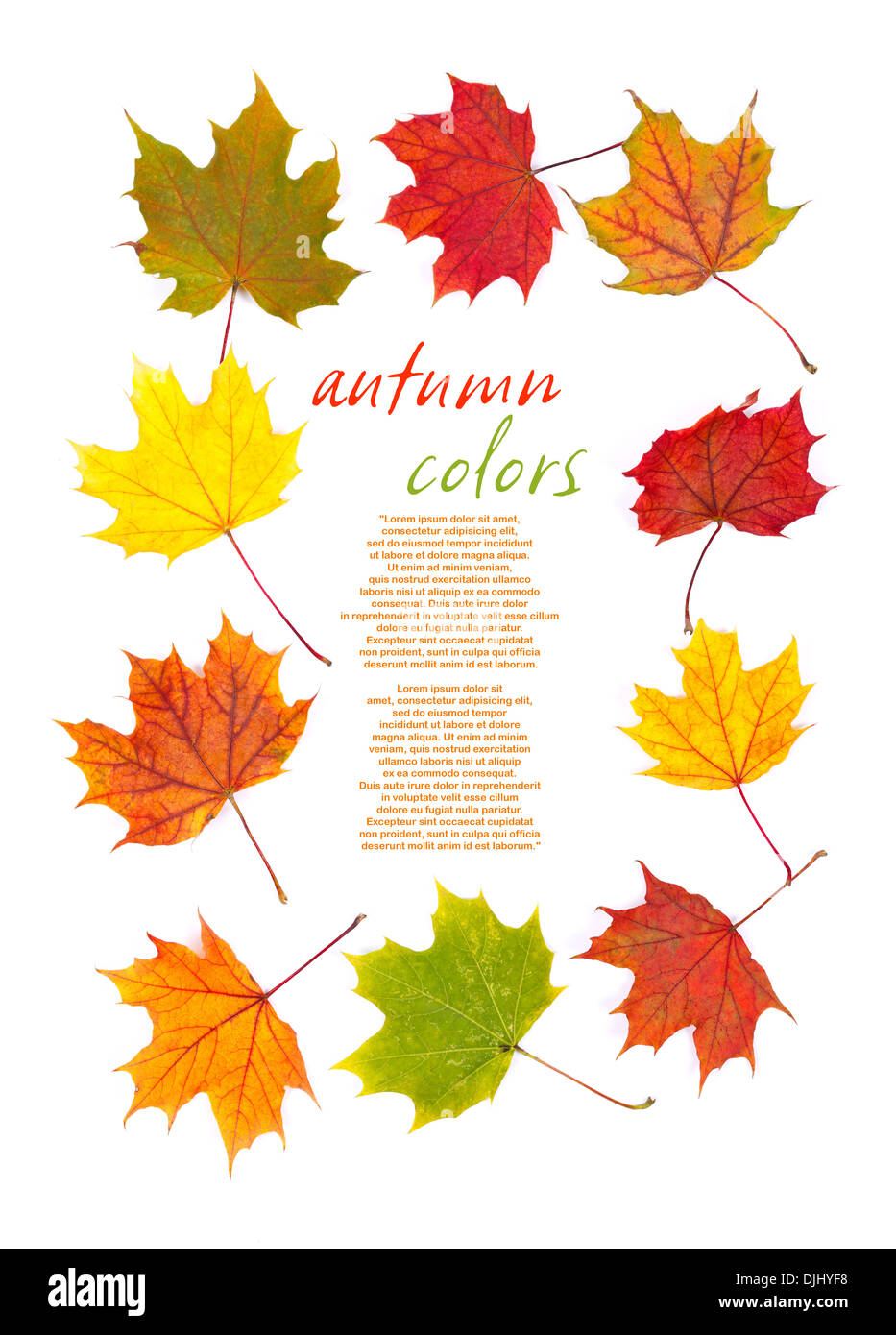 Colorful autumn leaves arranged as border on white background Stock ...
