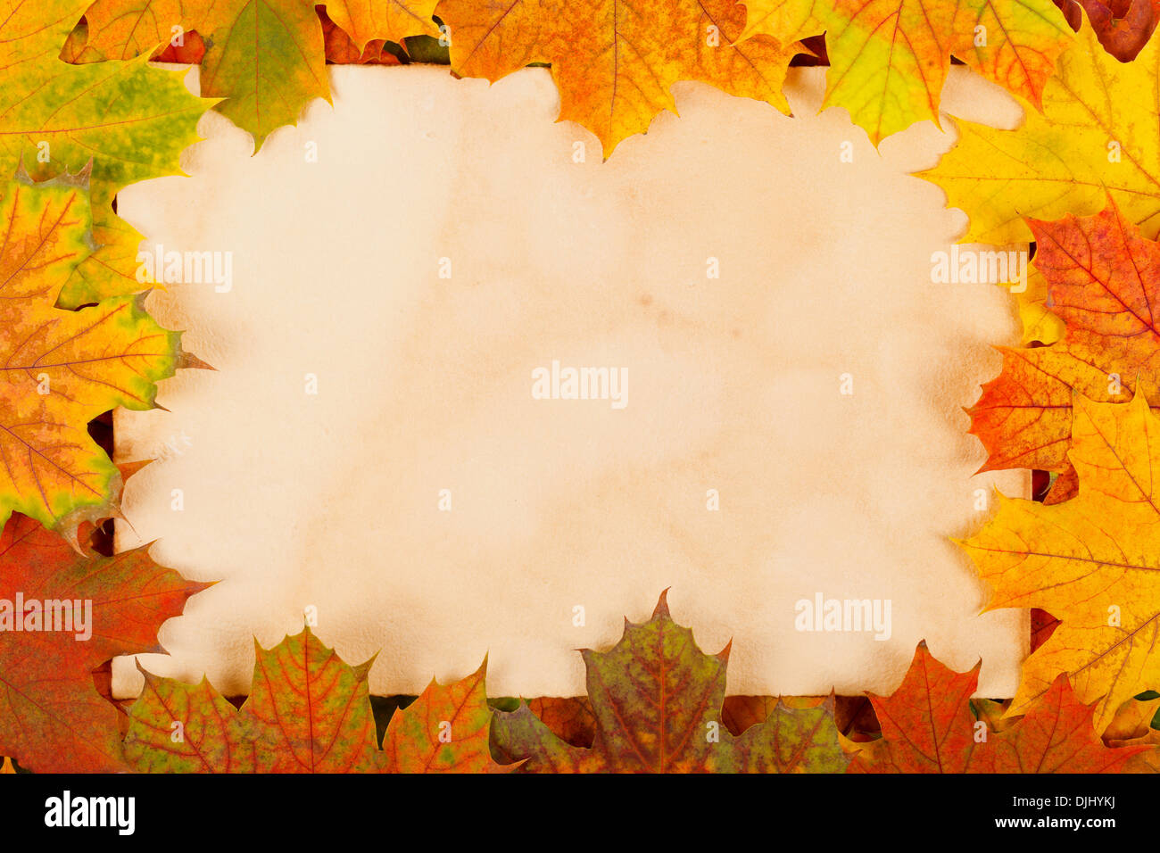 Autumn maple leaf border on rustic paper background Stock Photo - Alamy