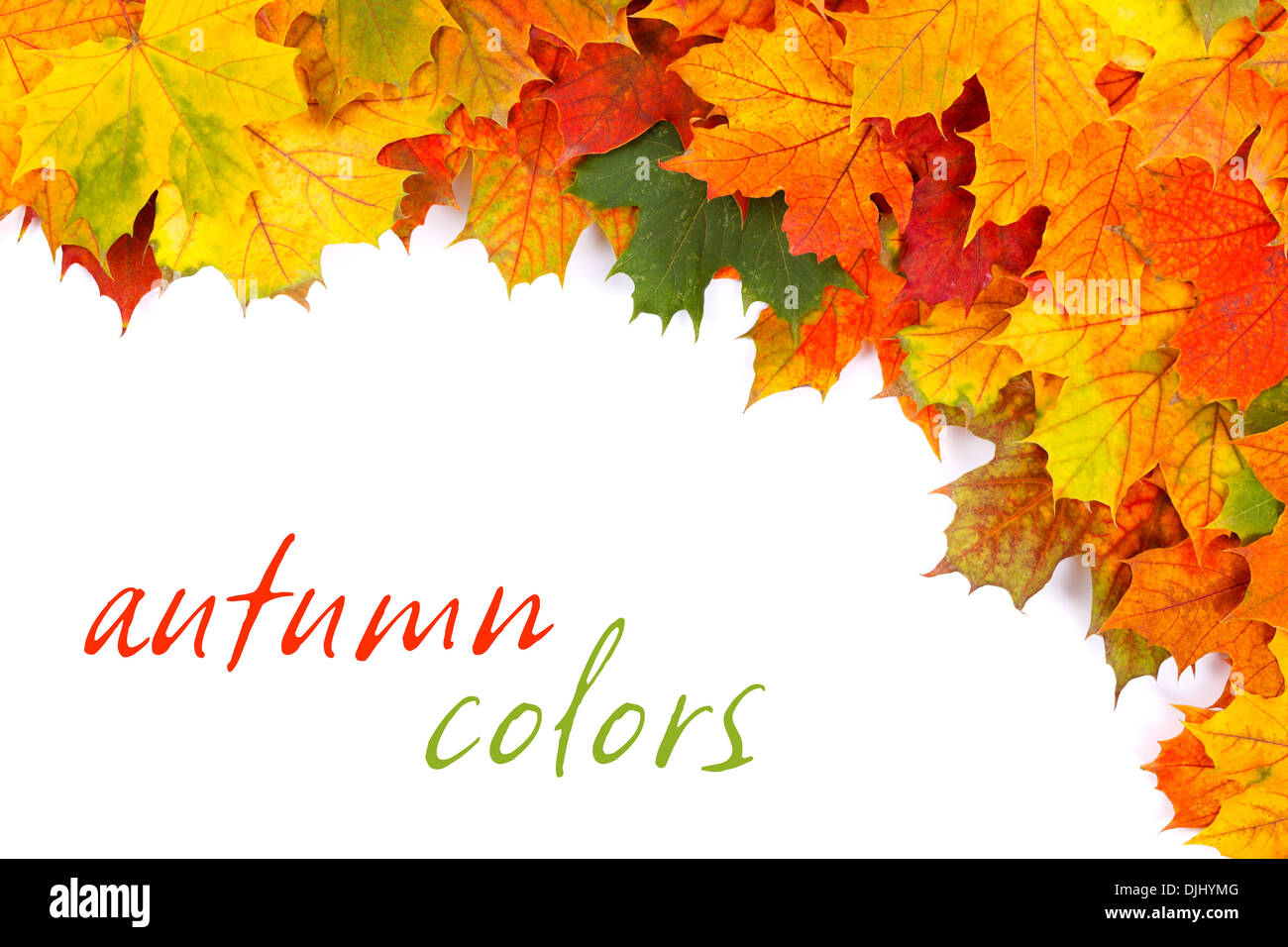 Fall leaves border hi-res stock photography and images - Alamy