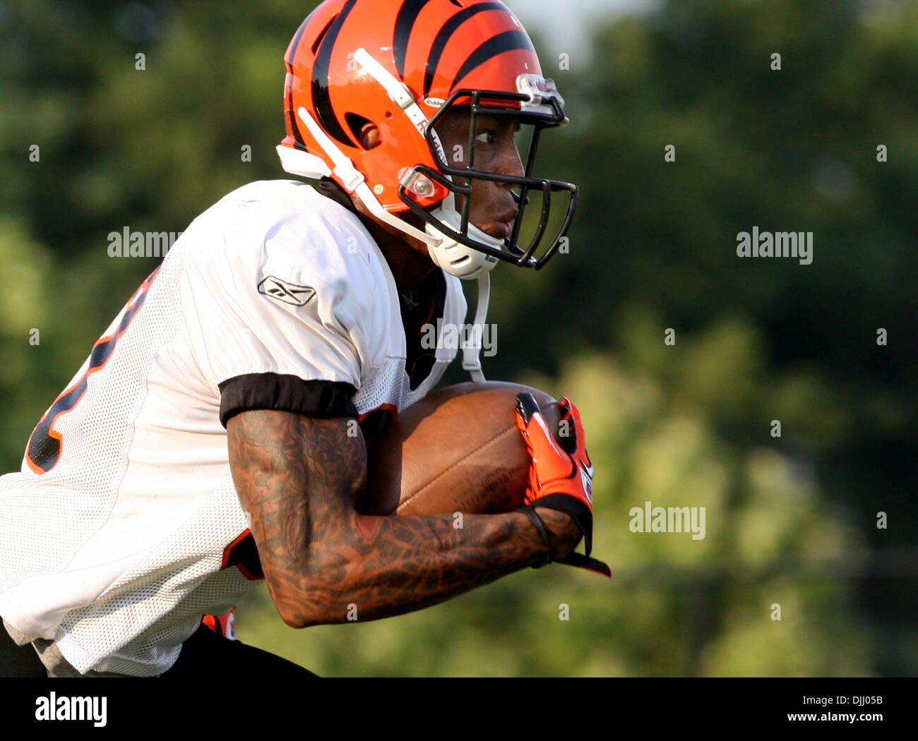 Andre caldwell hi-res stock photography and images - Alamy