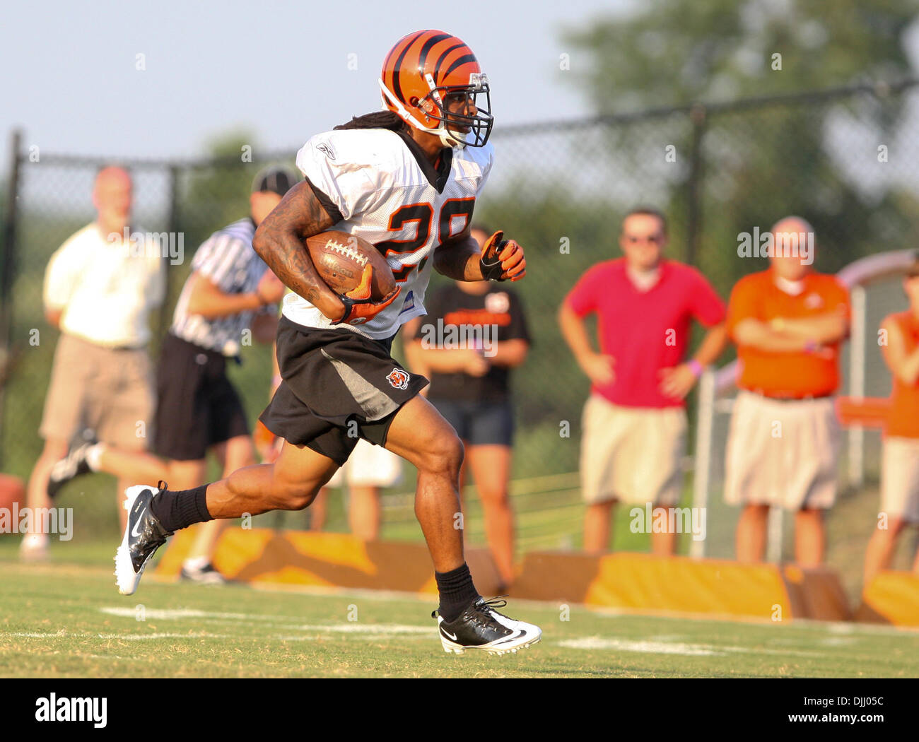 August 04, 2010: Cincinnati Bengals Bernard Scott, (28) runs upfield for the Bengals in training camp action from Georgetown Ky. (Credit Image: © Wayne Litmer/Southcreek Global/ZUMApress.com) Stock Photo