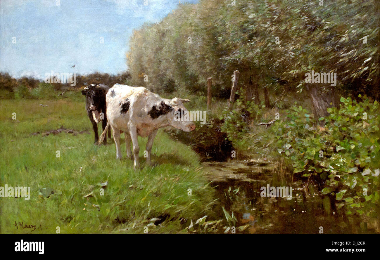 Calves on the Pasture 1875 Anton Mauve Dutch Netherlands 1838 - 1888 Stock Photo