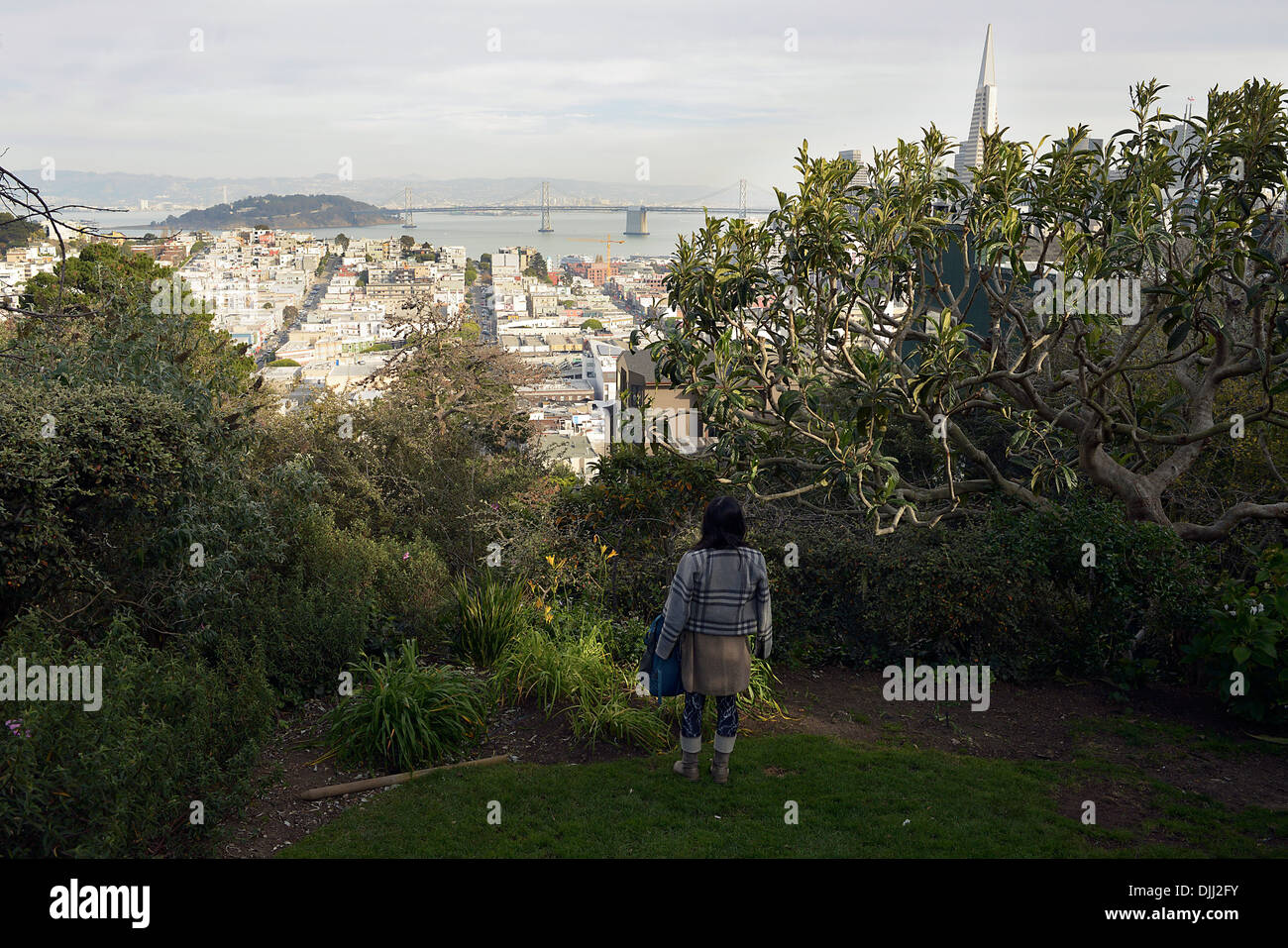 san francisco downtown view russian hill Stock Photo