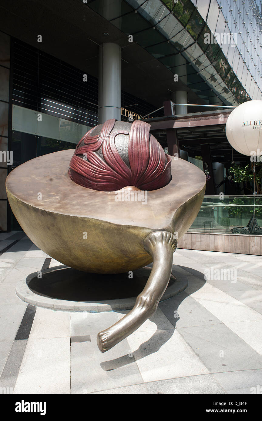 Nutmeg & Mace Stock Photo Alamy