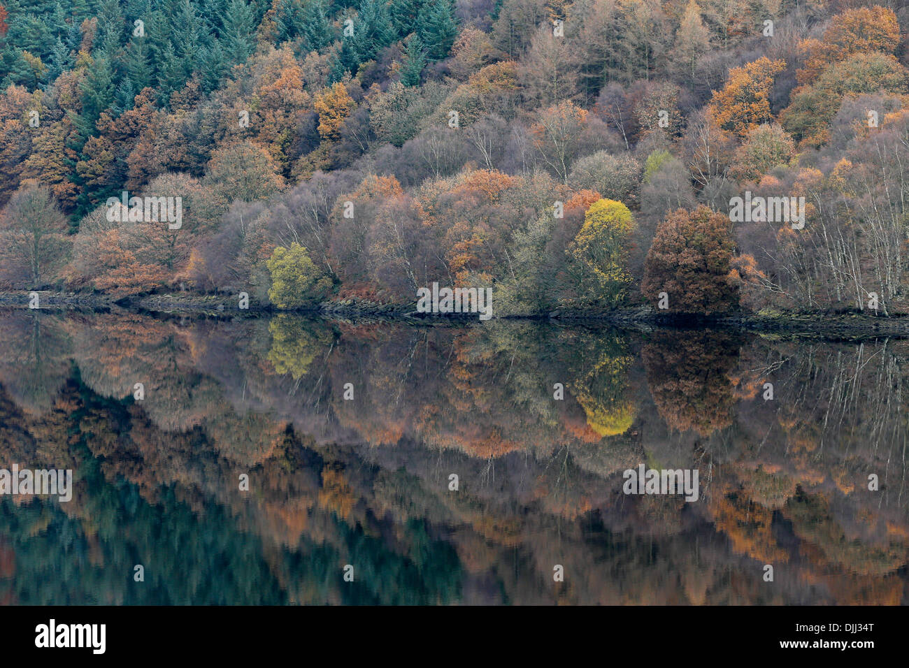 26-11-13-autumn-colours-reflected-on-ladybower-reservoir-derwent