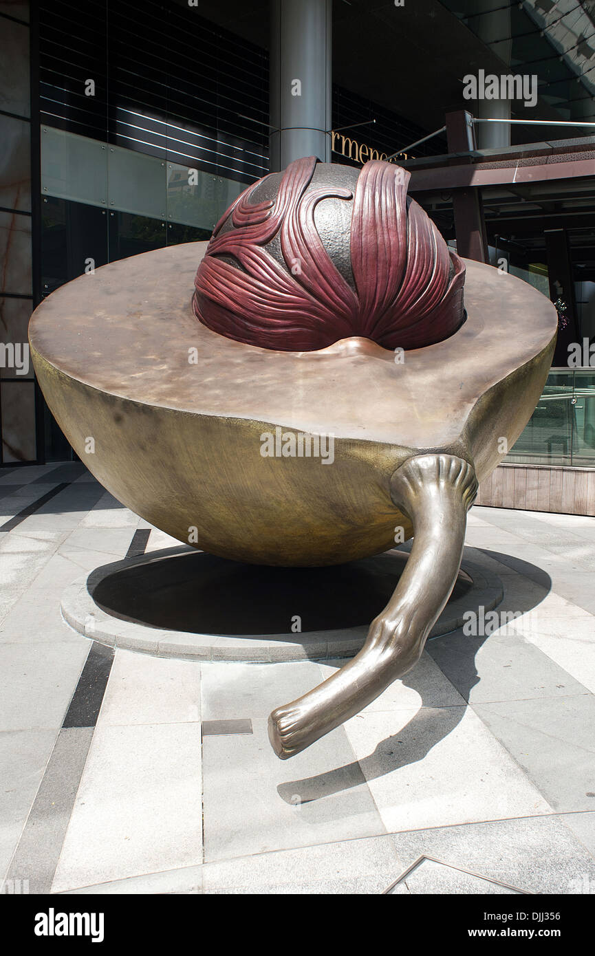 Nutmeg & Mace Stock Photo Alamy