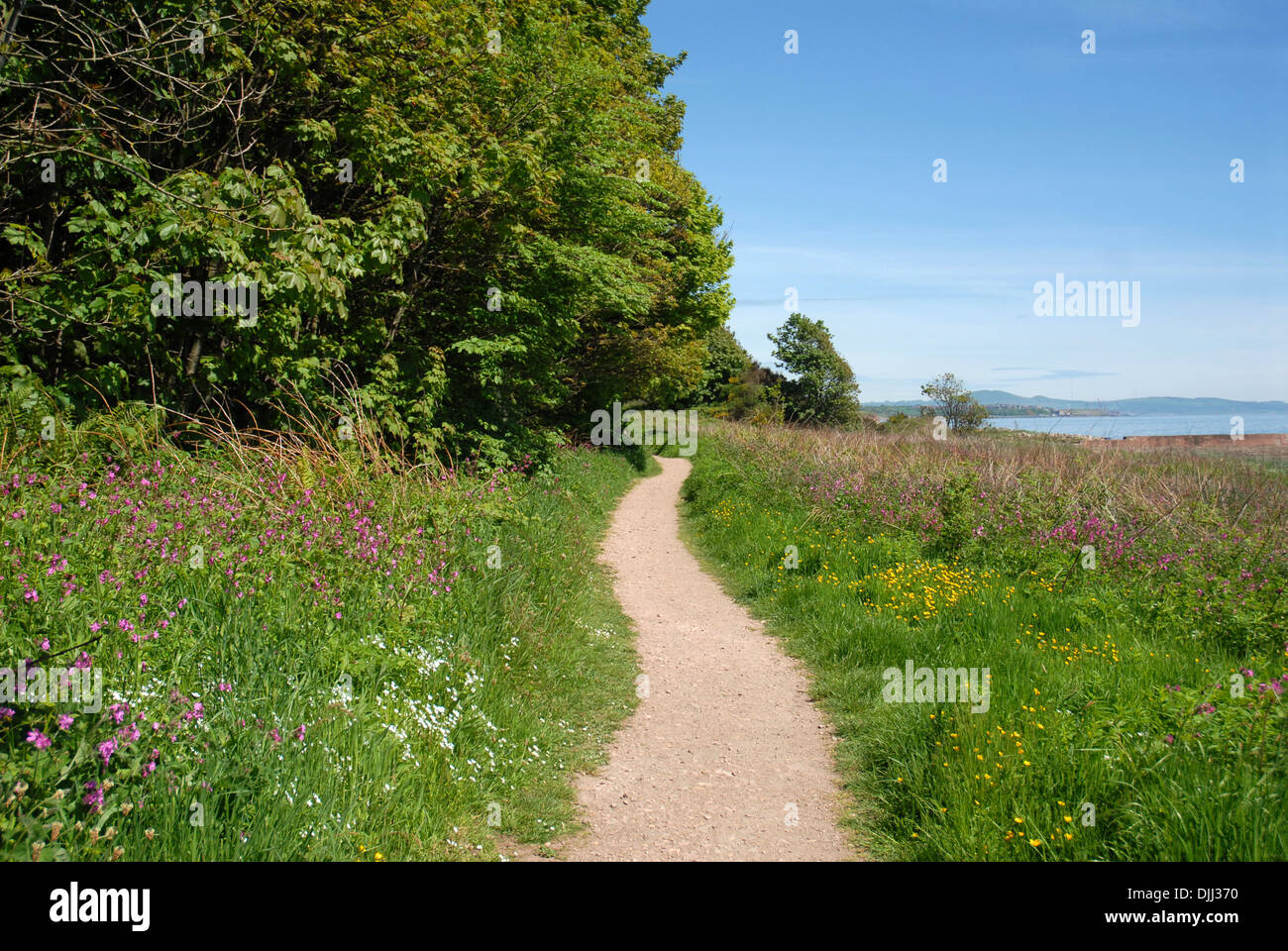 Fife Coastal Path Stock Photo Alamy
