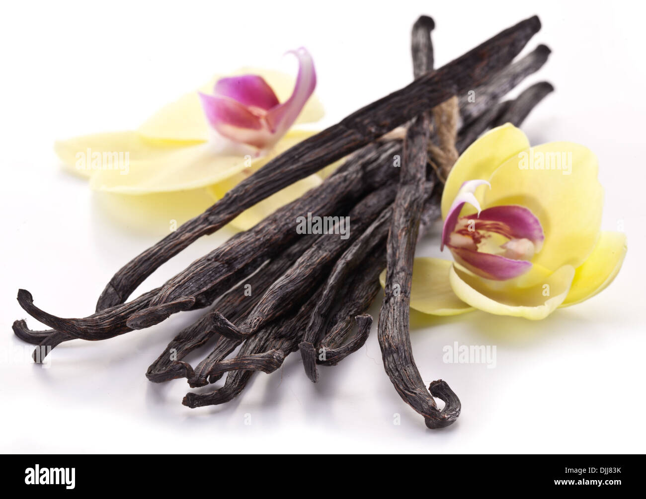 Vanilla sticks with a flower on a white background. Stock Photo