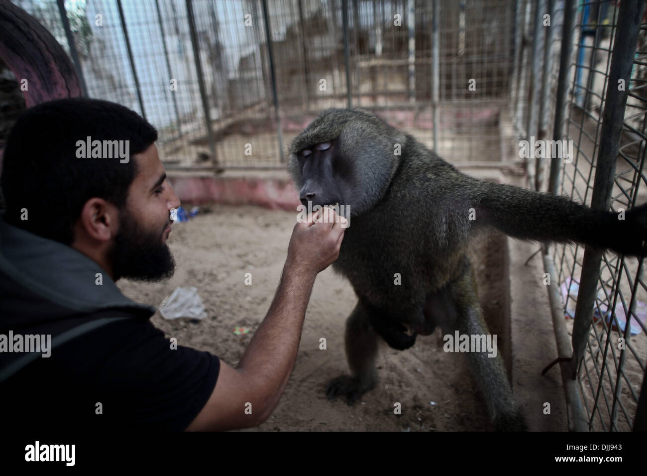 Zookeeper monkey hires stock photography and images Alamy
