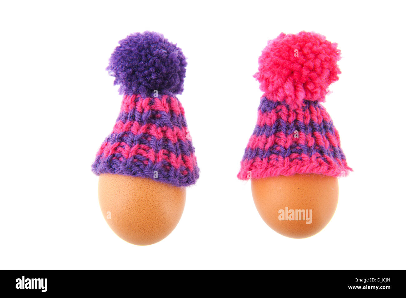 https://c8.alamy.com/comp/DJJCJN/winter-egg-with-bonnet-isolated-over-white-background-DJJCJN.jpg