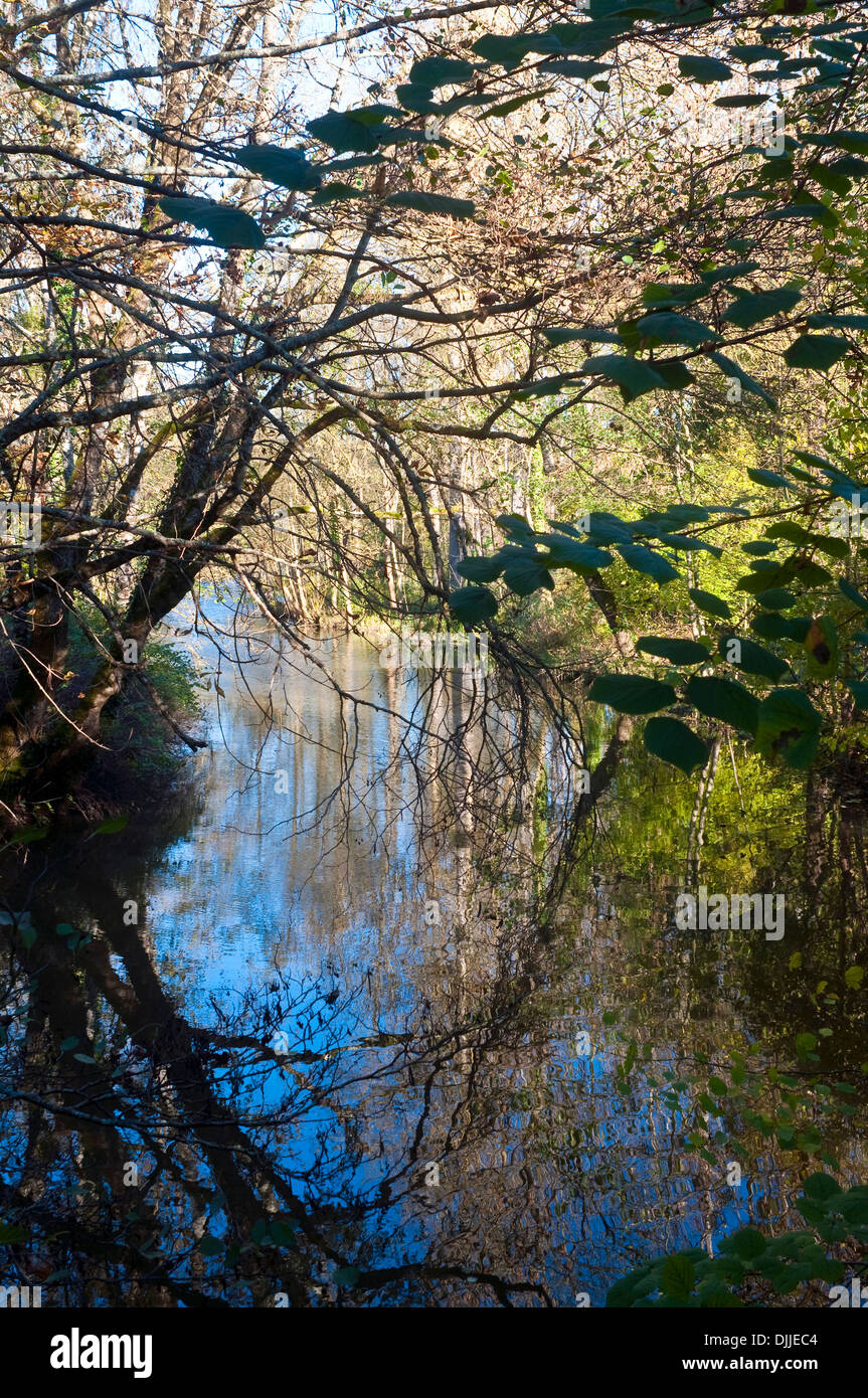 Claise Tree-lined banks of river Claise, Indre-et-Loire - France Stock Photo ...