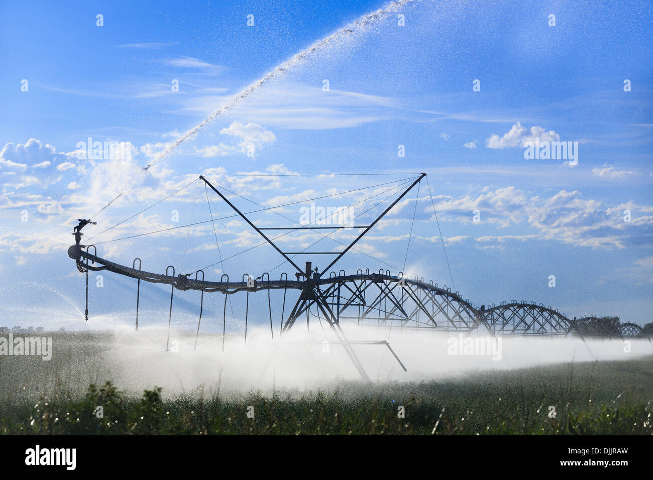 Center pivot water irrigation, watering farm fields, near Lethbridge, Alberta, Canada Stock