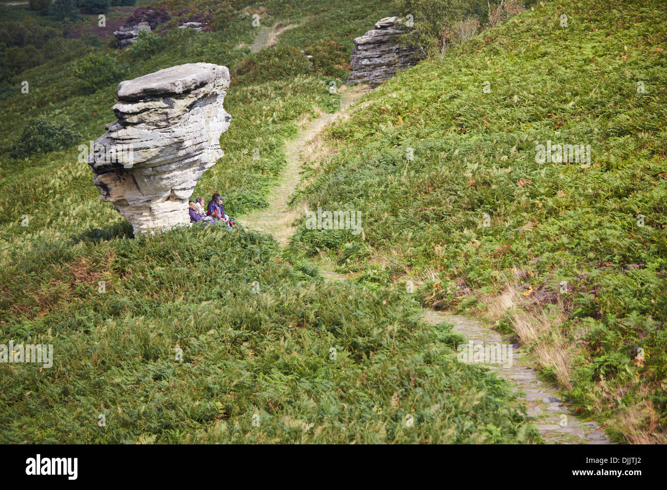 Bridestone Rocks Bridestone rock formation in dalby hi-res stock photography and images ...