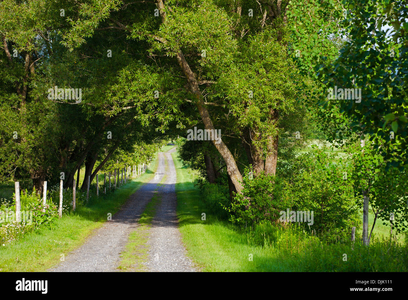Hatley road hires stock photography and images Alamy