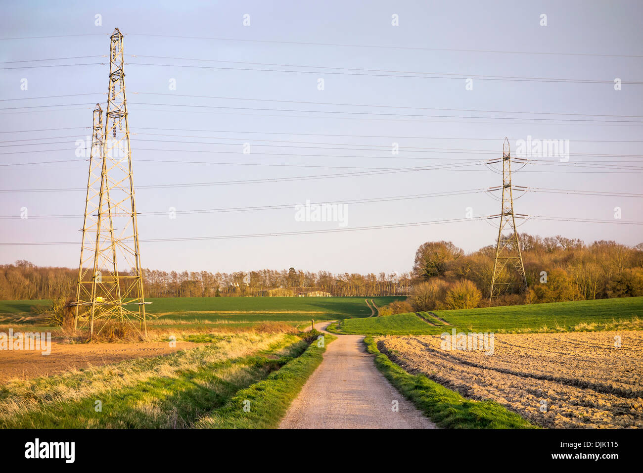 Electricity Pylons Countryside National Grid Evening Creative Stock Photo