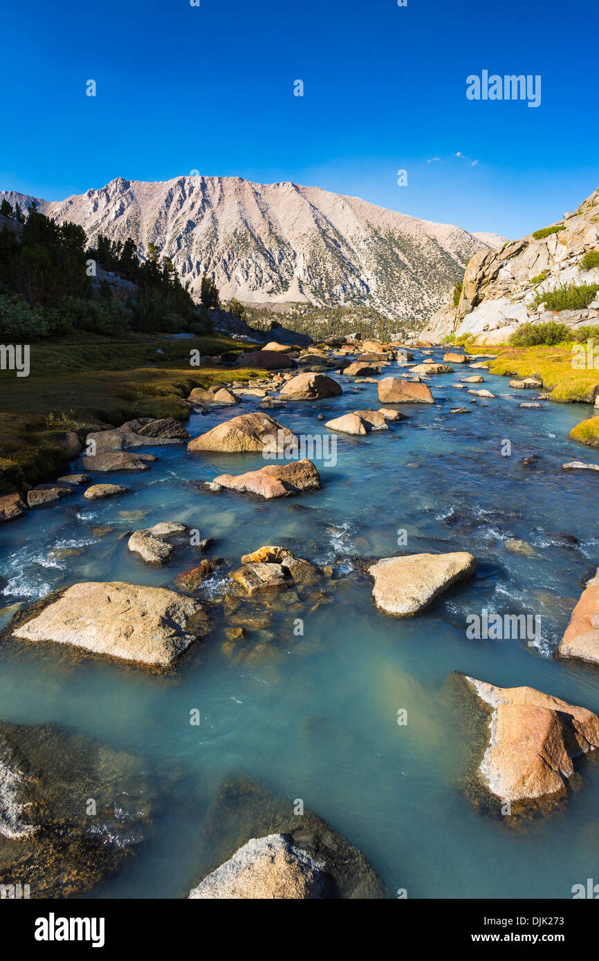 Stream in Sam Mack Meadow, John Muir Wilderness, Sierra Nevada Mountains, California USA Stock Photo