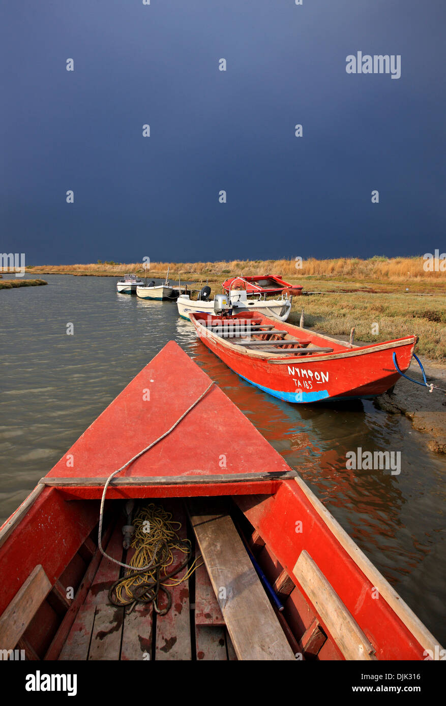 Boat ride at the Delta of Evros river, Thrace (Thraki), Greece. Stock Photo