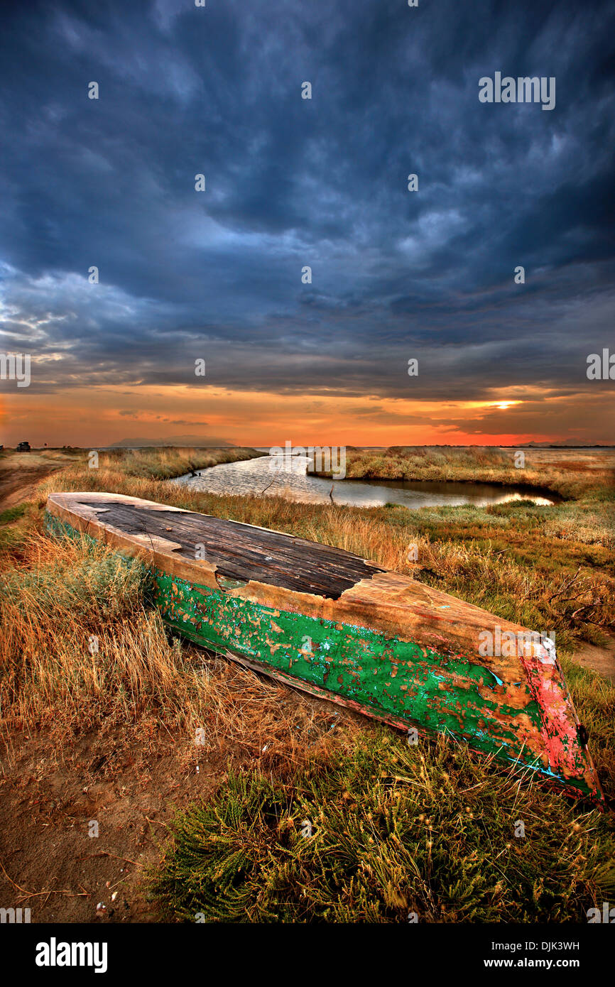 Traditional plava (flat bottomed boat of the shallow waters) at the Delta of Evros river, Thrace, Greece. Stock Photo