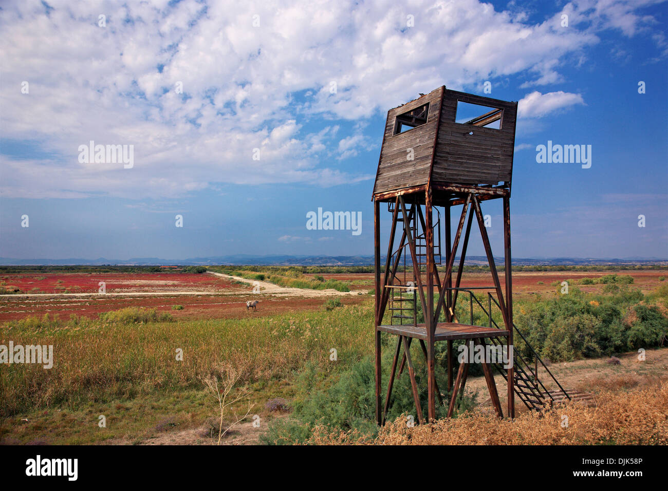 Abandoned watchtower at the Delta of Evros river, Thrace, Greece. Stock Photo