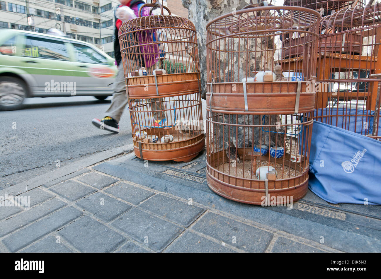 Birdcages in front of pet shop in Shanghai, China Stock Photo