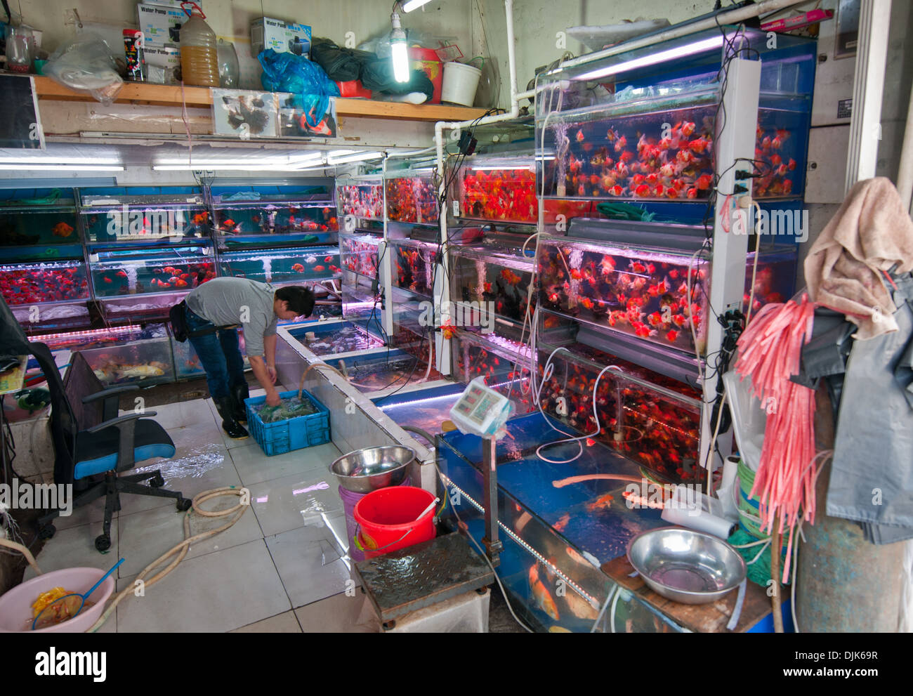 Small fish store at Jiangyin Road in Shanghai, China Stock Photo