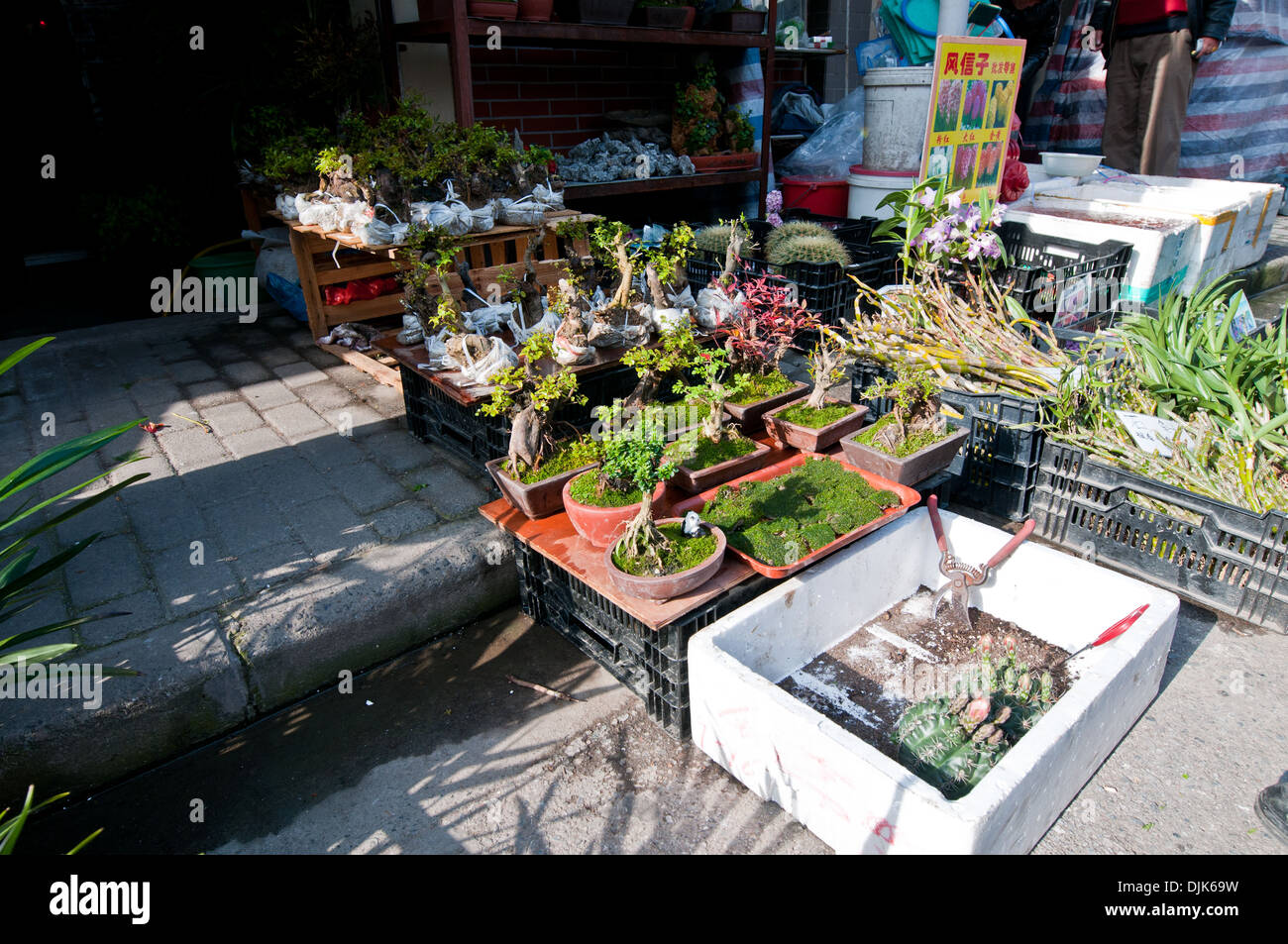 flower shop at Jiangyin Road in Shanghai, China Stock Photo