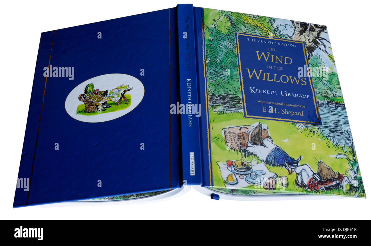 A Lovely Eh Shepard Illustrated Edition Of The Wind In The Willows