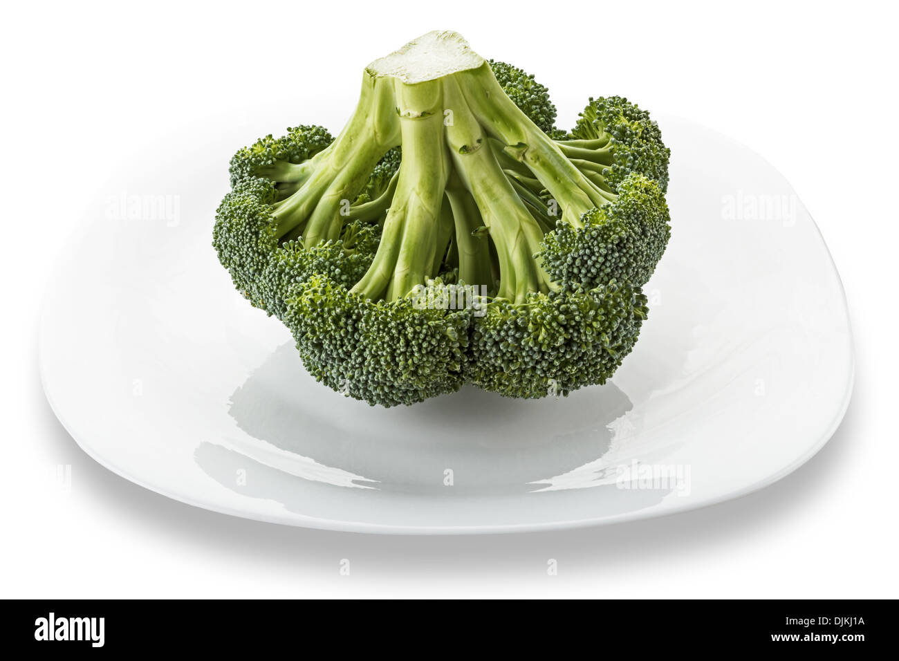 Single broccoli hi-res stock photography and images - Alamy