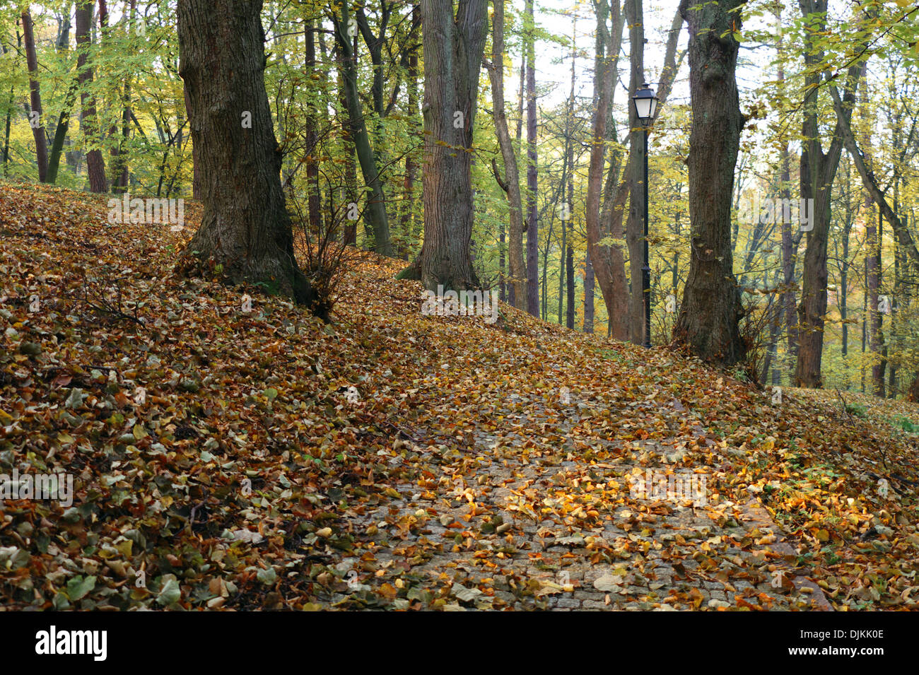 autumn in a park Stock Photo - Alamy
