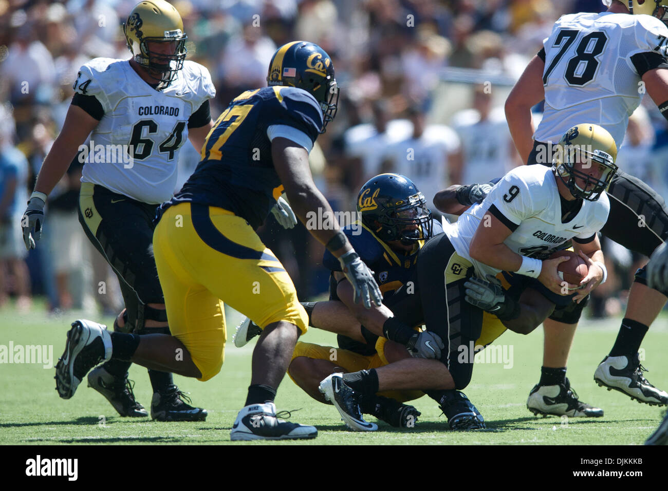 Sept. 11, 2010 - Berkeley, California, United States of America - Cal QB Beau Sweeney (9) can't break free during the NCAA game between the California Golden Bears and the University of Colorado Buffaloes at Memorial Stadium.  Cal routed Colorado 52-7. (Credit Image: © Matt Cohen/Southcreek Global/ZUMApress.com) Stock Photo