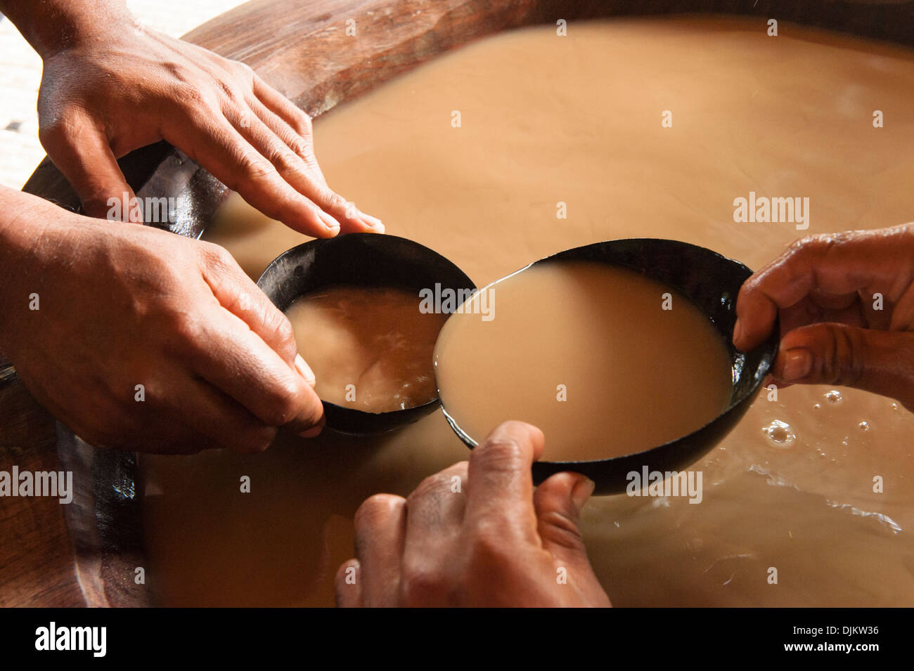 Close up of men's hands filling a bilo (coconut shell used as a drinking cup) with kava from the large tanoa (kava bowl) Fiji Stock Photo