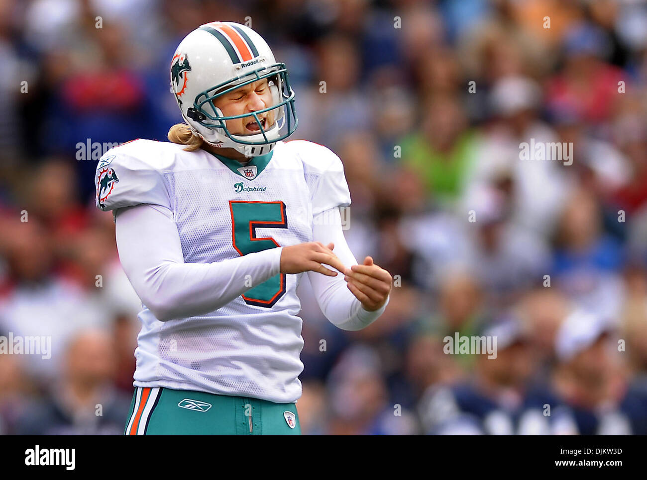 Miami dolphins kicker dan carpenter hi-res stock photography and images -  Alamy