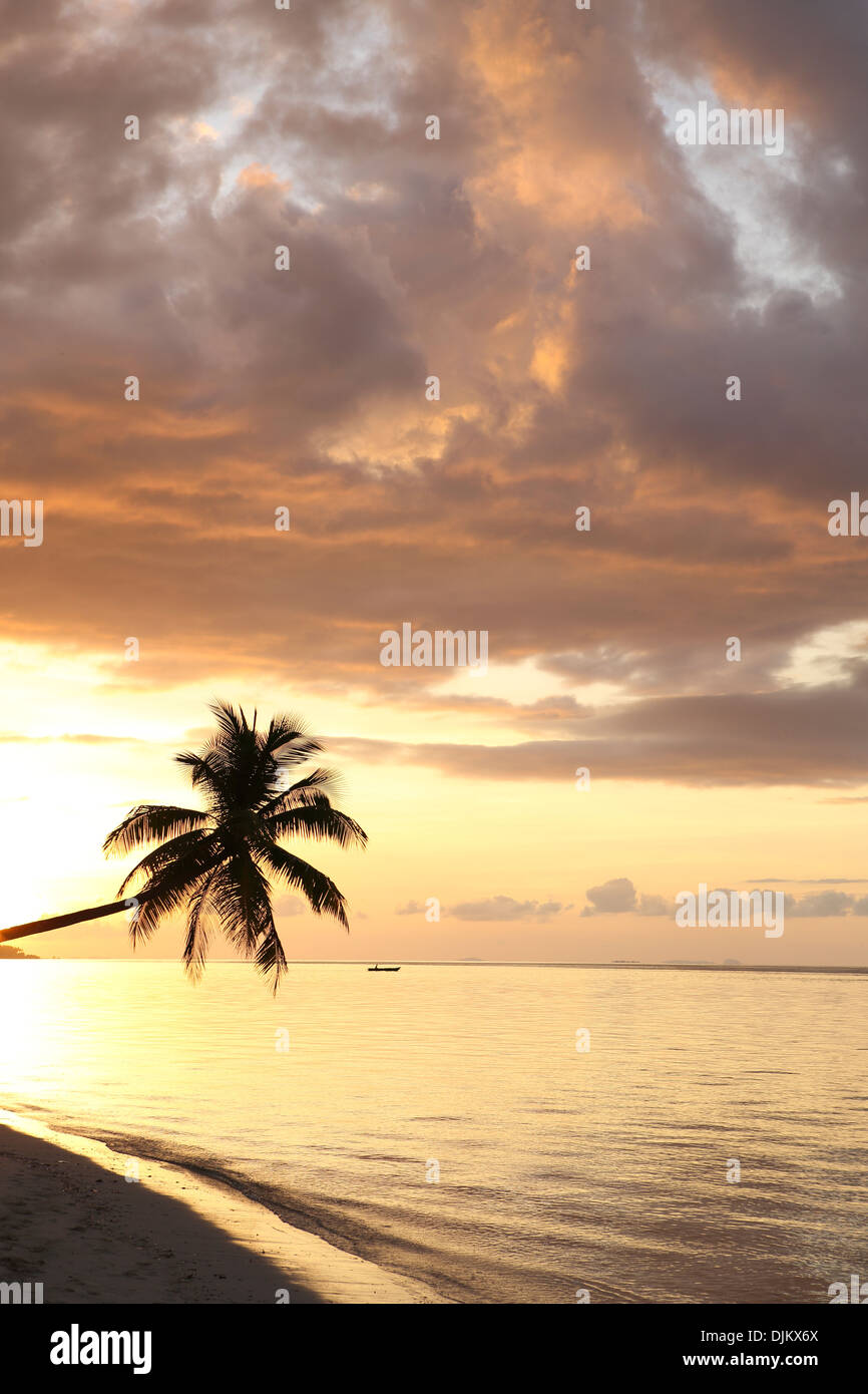 Sunset tropical beach palm hi-res stock photography and images - Alamy