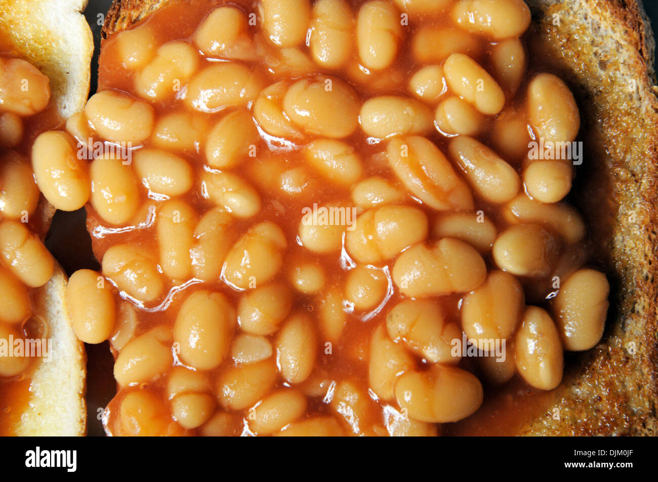 Two rounds of baked beans in tomato sauce on toast Stock Photo Alamy