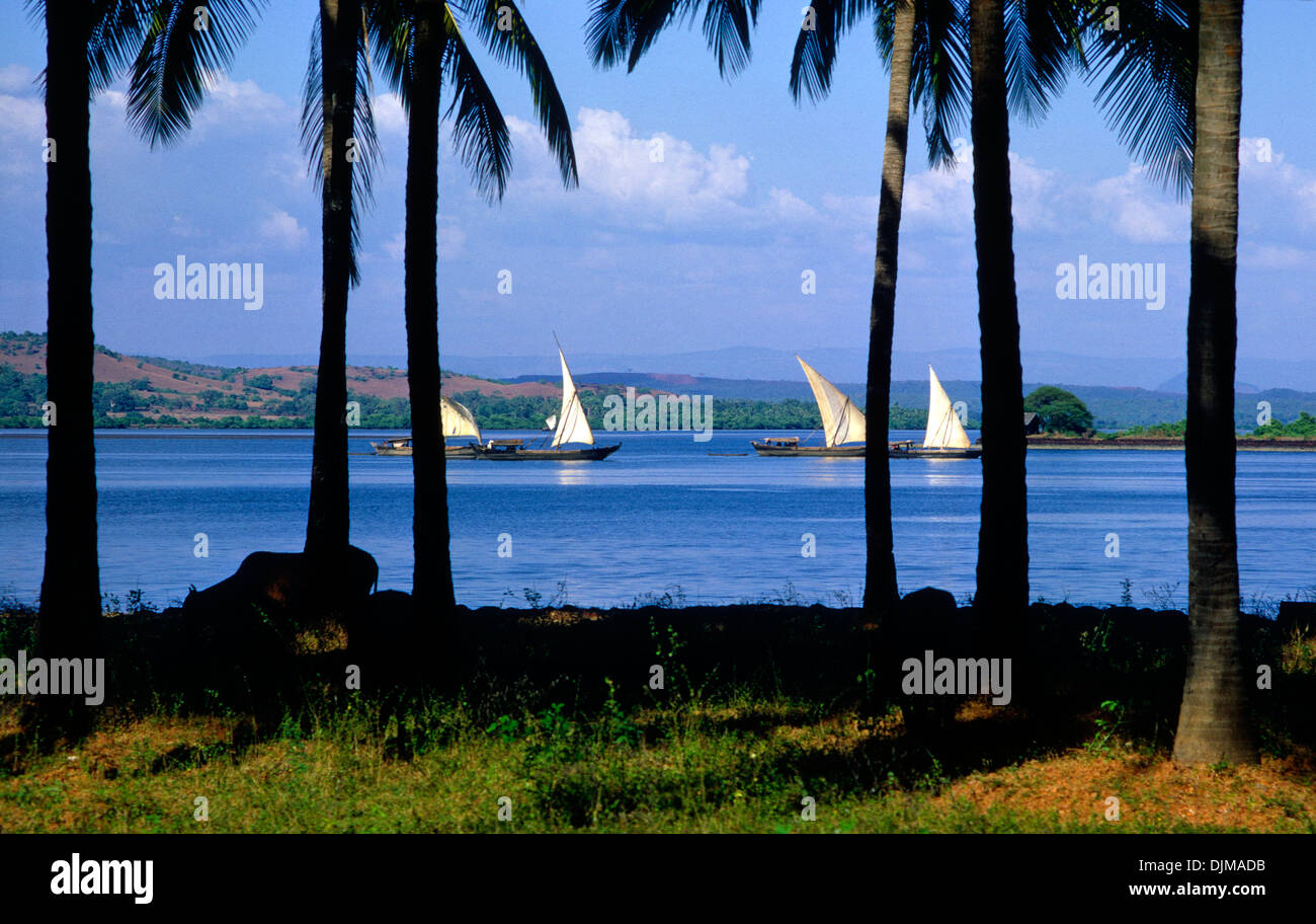 Goa Rivers River sailing boats Mandovi River Goa India Stock Photo - Alamy