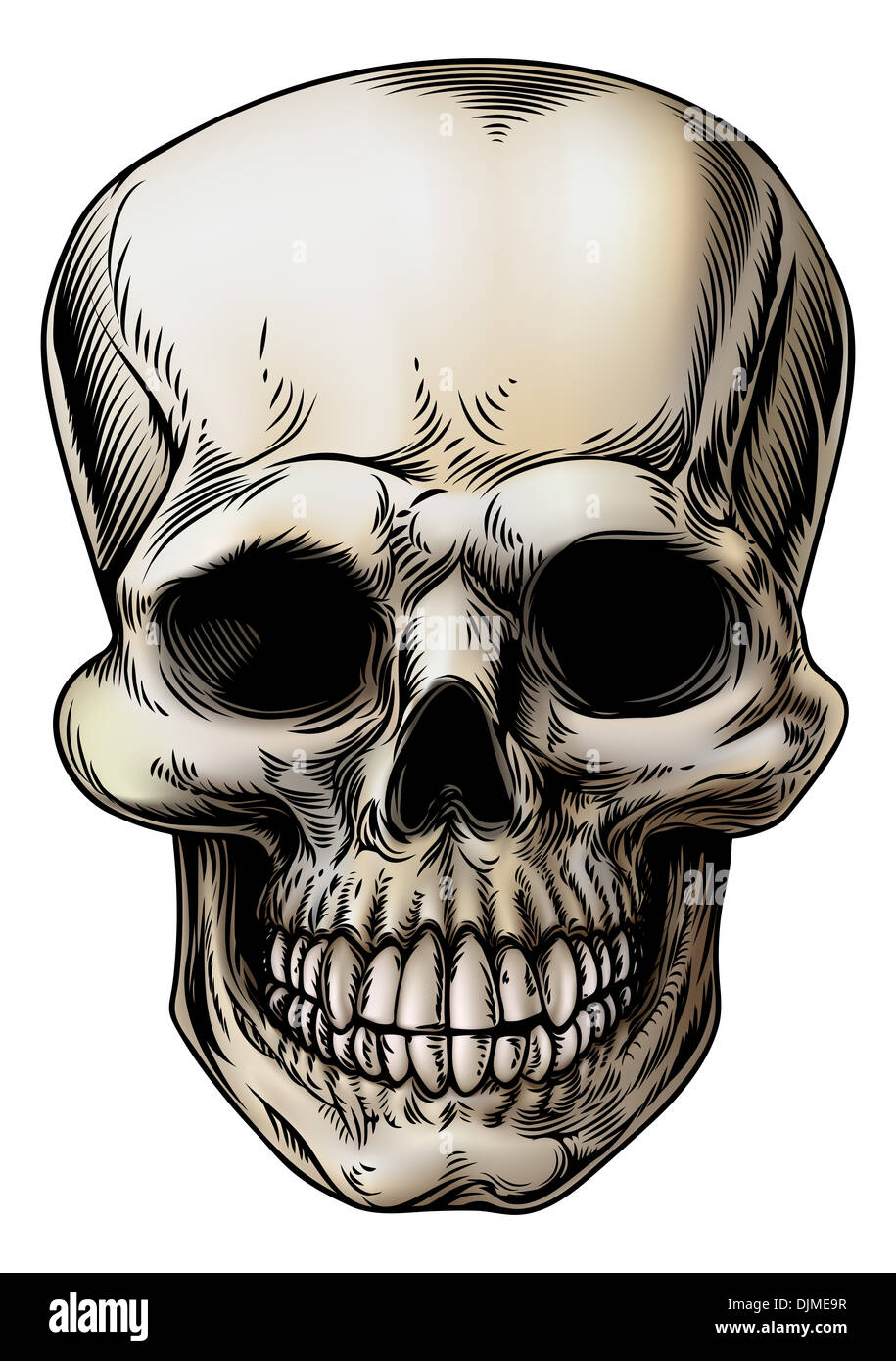 A human Skull or grim reaper skeleton head illustration in a vintage style Stock Photo
