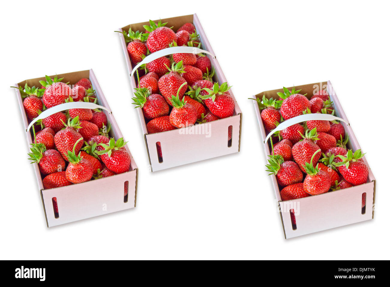 Gardening strawberries hi-res stock photography and images - Alamy