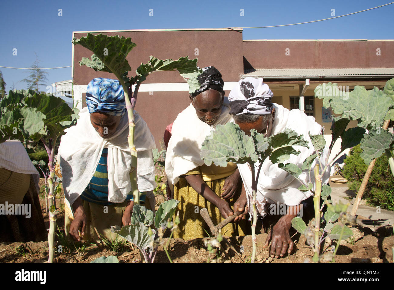 Women in Help the Aged charity project, Addis Ababa, Ethiopia, East
