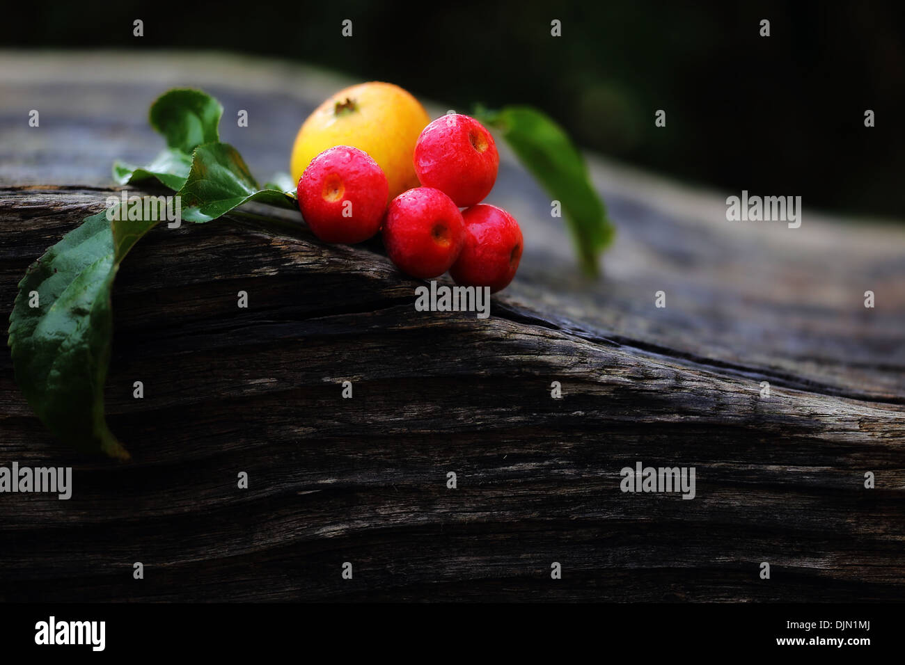 Apples on the wooden bench in the garden in Autumn Stock Photo