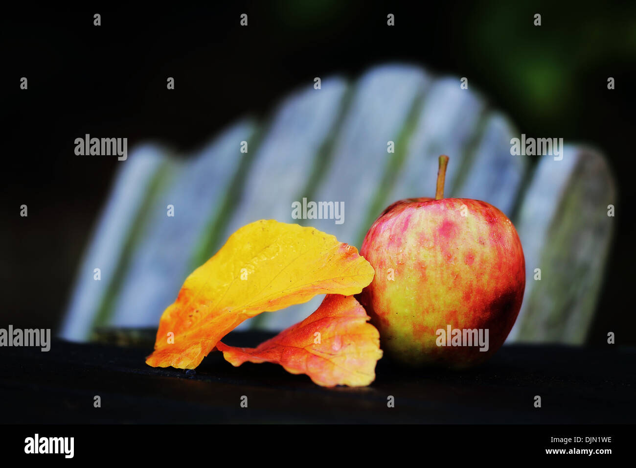 Apple and leaves on the table in the garden in Autumn Stock Photo