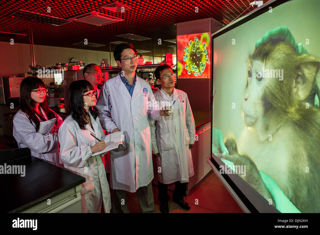 (131129) -- GUANGZHOU, Nov. 29, 2013 (Xinhua) -- Dr. Chen Ling (2nd R) and his team analyze a test result of experimental monkey No. 031137 at Guangzhou Institute of Biomedicine and Health of Chinese Academy of Sciences in Guangzhou, capital of south China's Guangdong Province, Nov. 18. 2013. A collaborative team co-led by the Comprehensive AIDS Research Center of Tsinghua University, the AIDS Institute of the University of Hong Kong Li Ka Shing Faculty of Medicine and the Guangzhou Institute of Biomedicine and Health of Chinese Academy of Sciences has conducted a five-year preclinical study Stock Photo