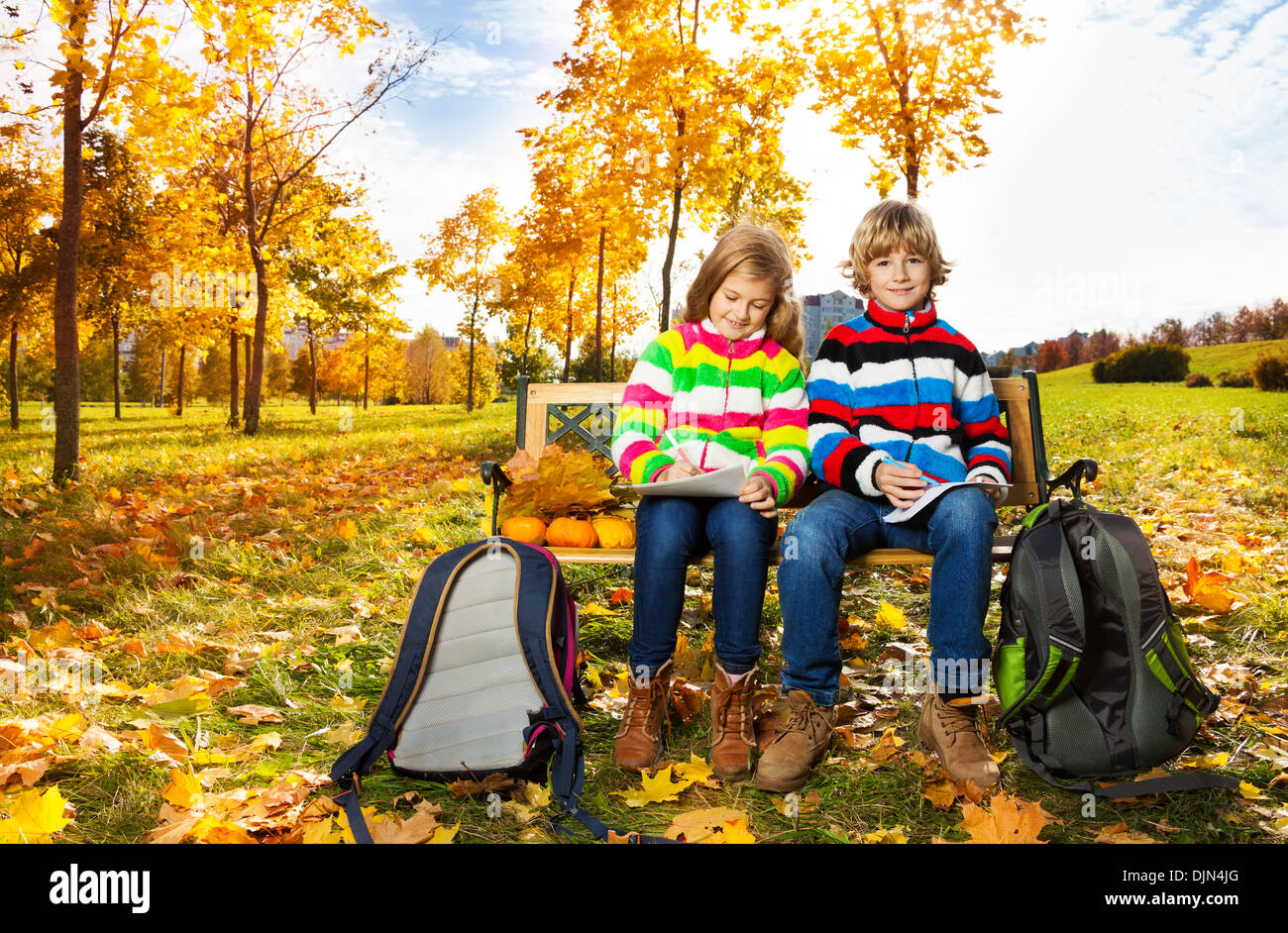 Portrait of a smiling brother and sister with maple leaves in park ...