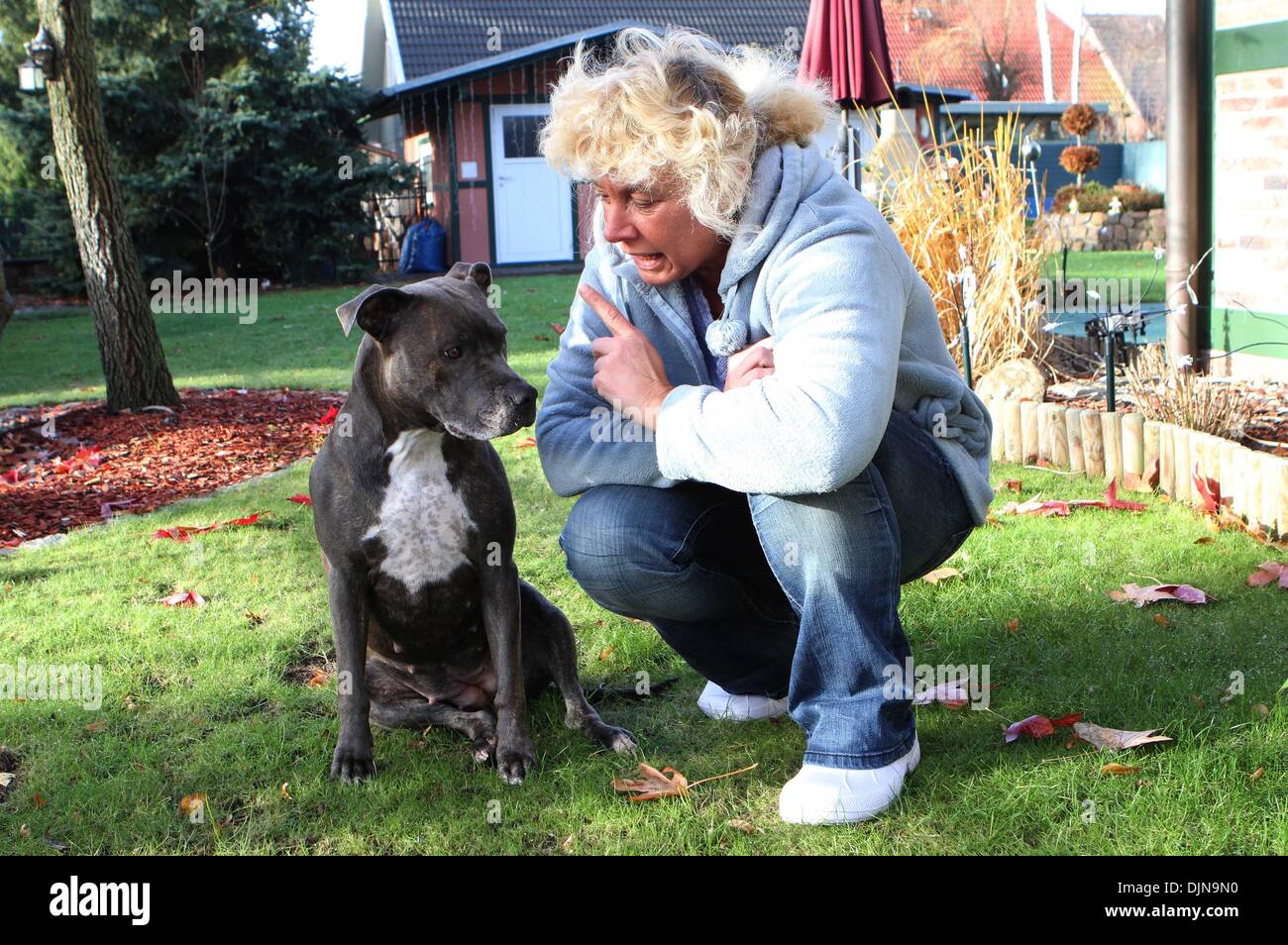 Dog owner Barbara Gerzmehle sits next to Dog Tascha in her Garden in Schönwald-Glien, Germany, 28 November 2012. The dog who is staying with Dylan (10), a child that suffers from agrypnocoma, is supposed to leave, according to the public order office. Resistence is forming in the internet. Photo: NESTOR BACHMANN/dpa Stock Photo