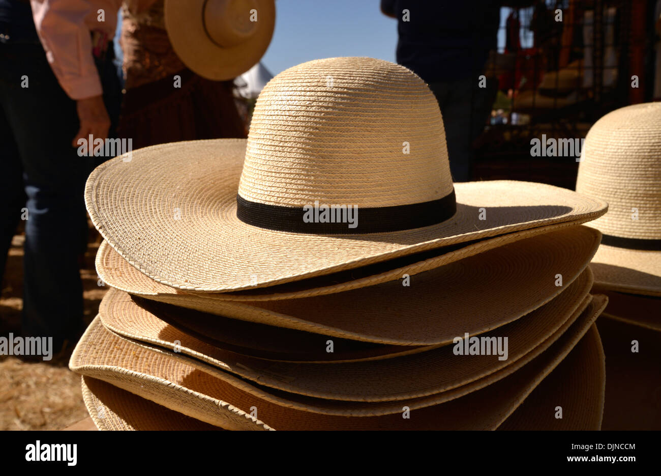 The Roundup & Open House, a celebration of the cowboy, at the Empire Ranch, Sonoita, Arizona, USA. Stock Photo