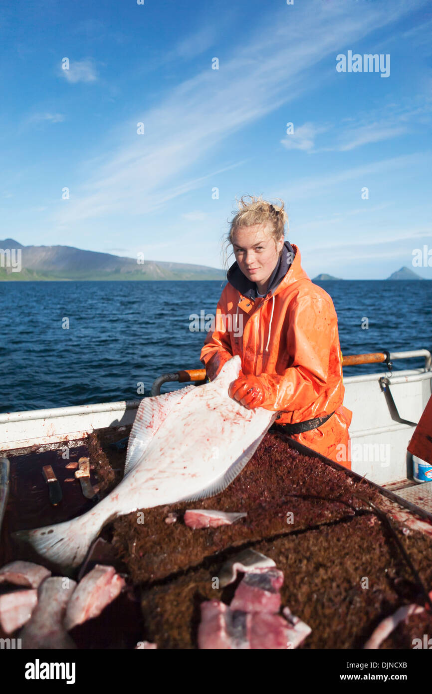 Young Woman Gutting Halibut While Commercial Longline Fishing Near False Pass In Morzhovoi Bay